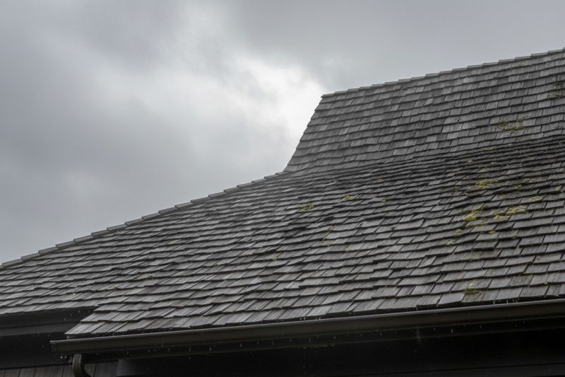 Cedar Roof Replacement in Griffin, GA