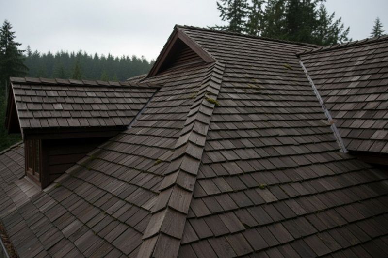 Cedar Shake Roof Replacement in Fayette County, GA