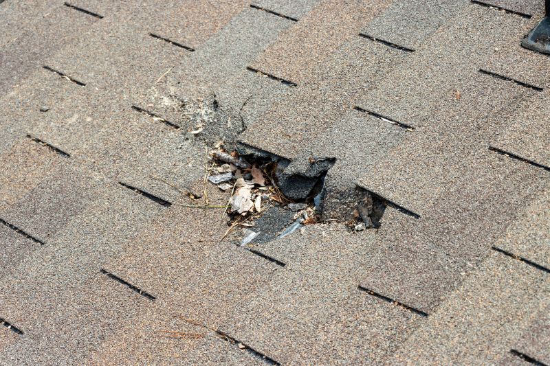 Damaged Roof Replacement in Coweta County, GA