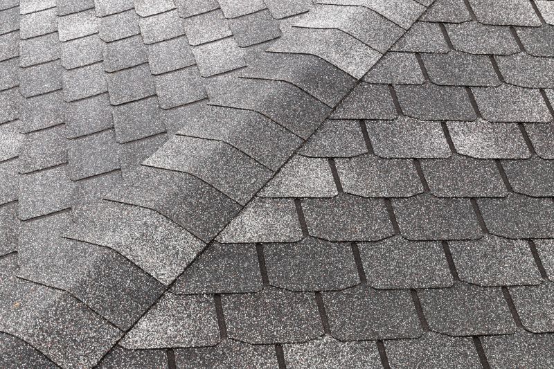 Shingle Roof Replacement in Lovejoy, GA
