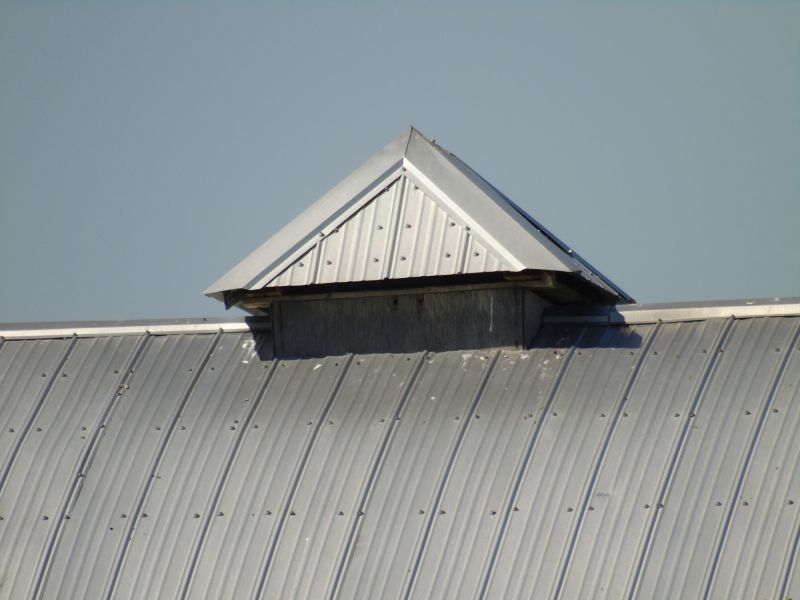 Tin Roof Installation in Douglasville, GA