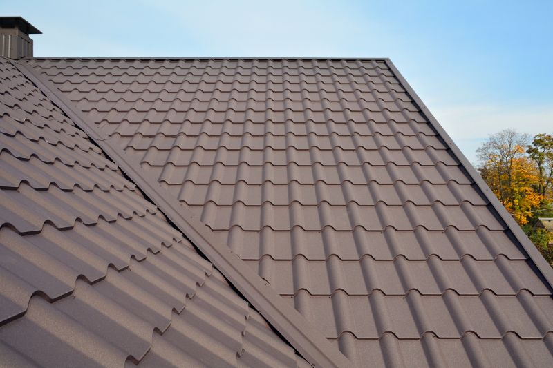 Tin Roof Installation in Sharpsburg, GA